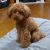 shin2018 さんのプロフィール写真